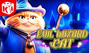 Evil Wizard Cat
